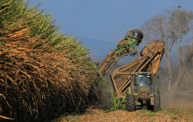 La zafra azucarera en Tucumán cerró con una molienda total de 17.670.000 toneladas de caña bruta, récord histórico 