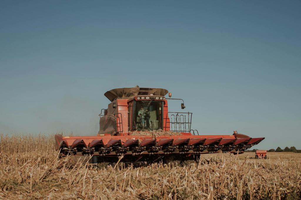 Argentina domina producción maicera global: bonanza con riesgos&nbsp;próximos