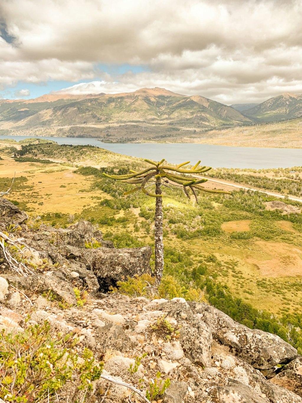 Campo argentino en auge: 128% de crecimiento exportador y planes de&nbsp;expansion