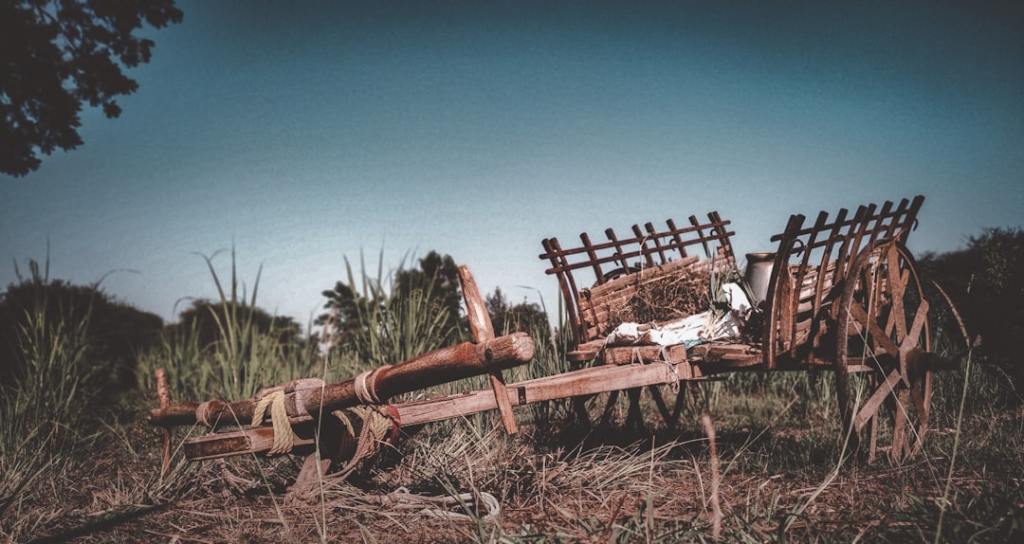 Corrientes: nueva línea crediticia para impulsar la producción rural