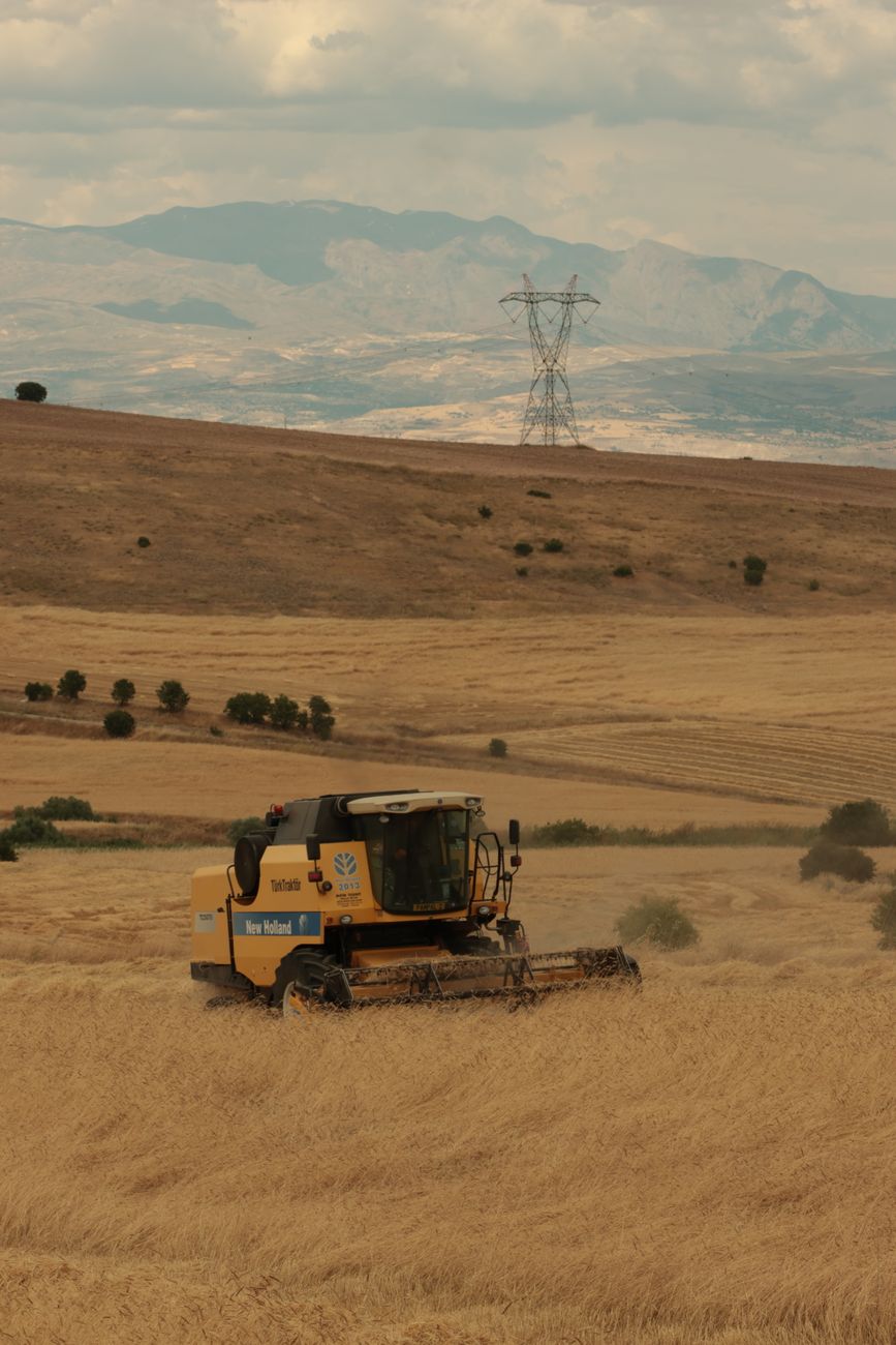 De producto secundario a actor clave en la matriz exportadora&nbsp;argentina